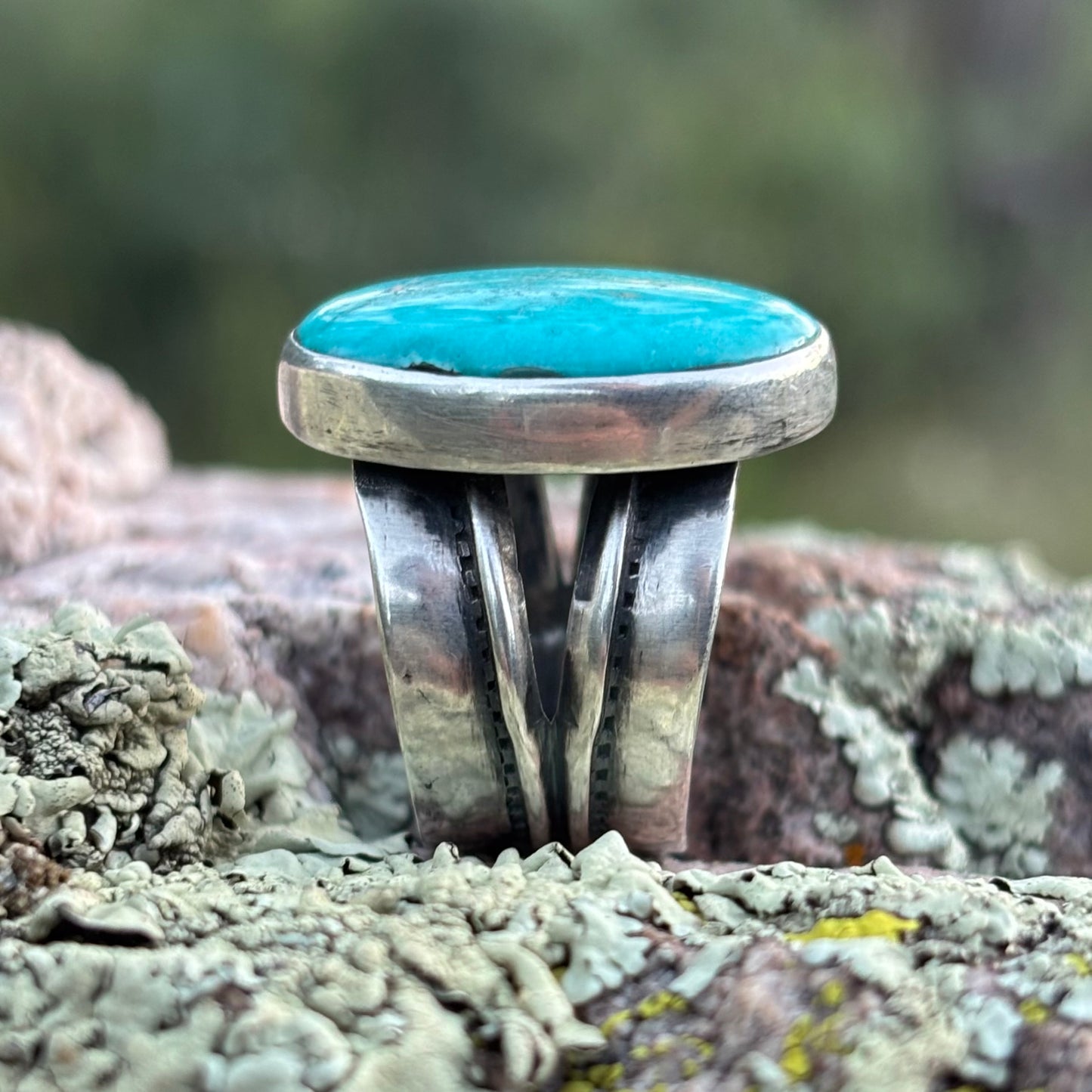 Split-shank ring with Fox Turquoise